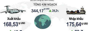Việt Nam nhập siêu hơn 7 tỷ USD từ đầu năm